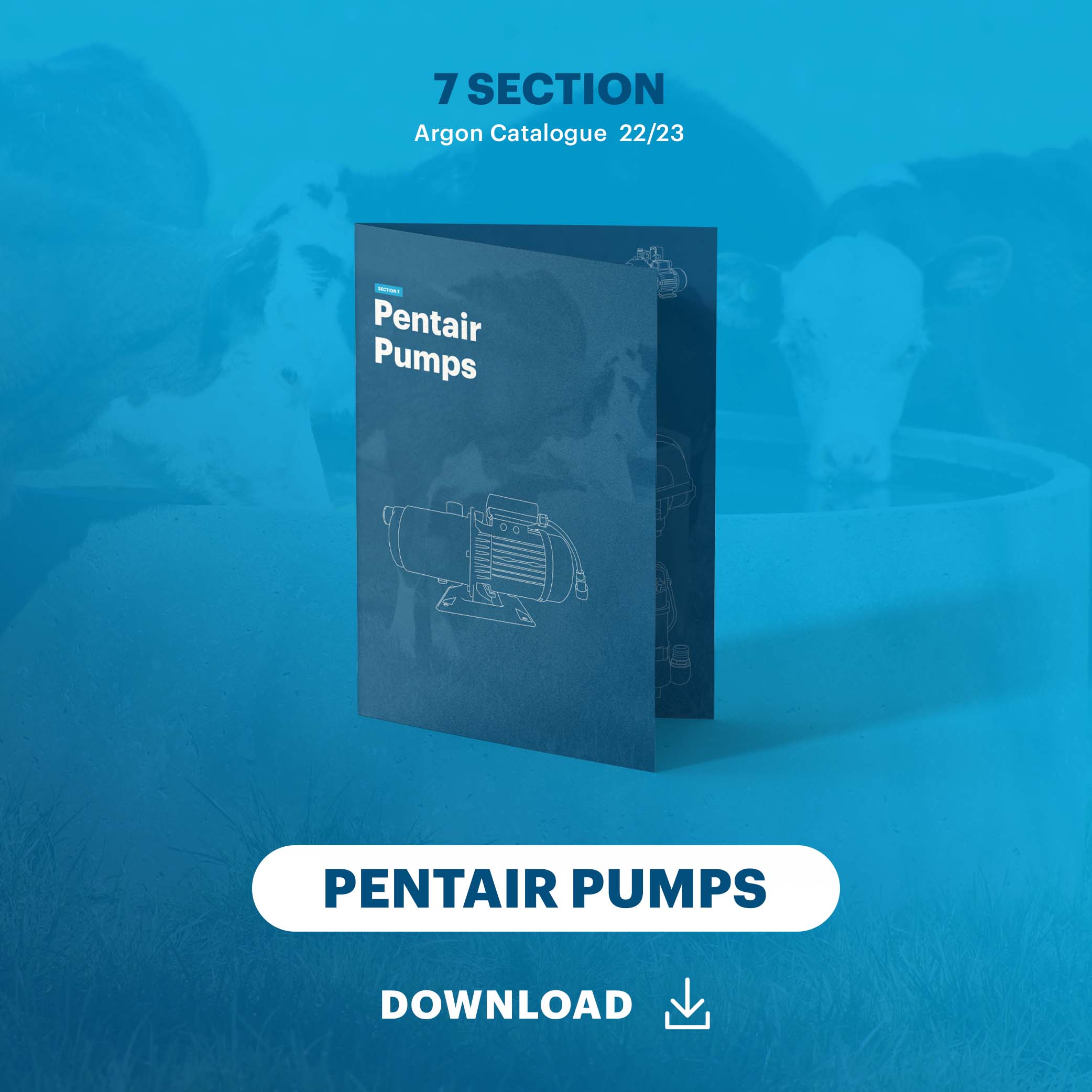 7 Pentair Pumps